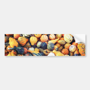 Colourful Gourds C Bumper Sticker