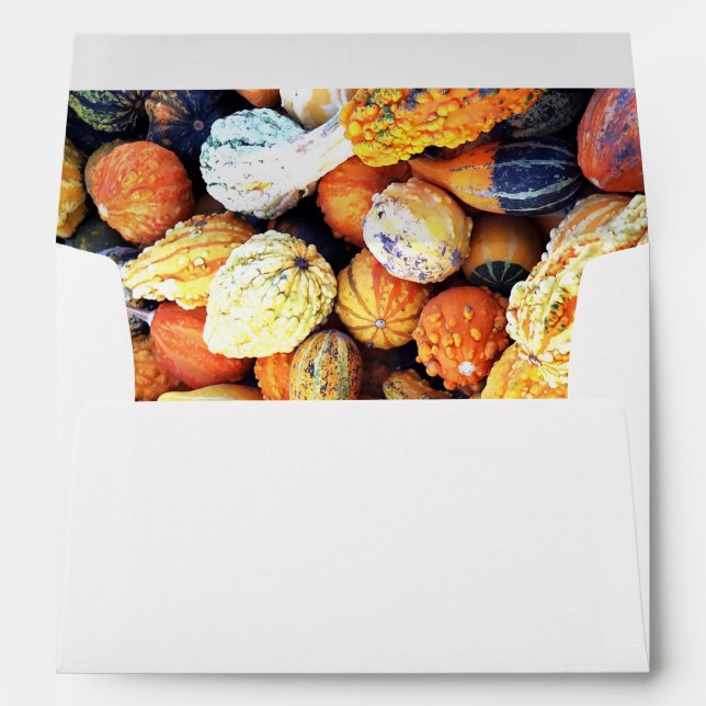 Colourful Gourds C  Envelope (Back (Bottom))