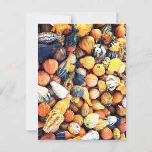 Colourful Gourds C  Postcard