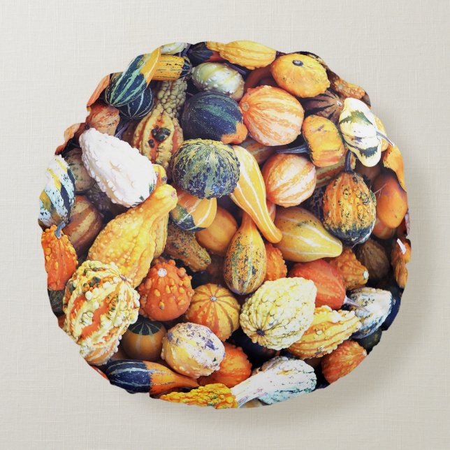 Colourful Gourds C  Round Cushion (Front)