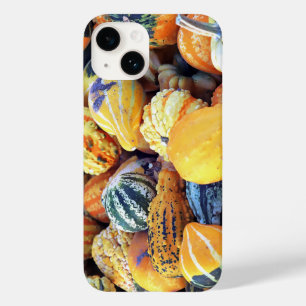 Colourful Gourds Close Up  Case-Mate iPhone 14 Case