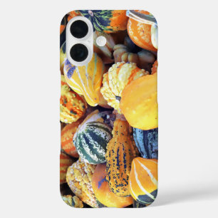 Colourful Gourds Close Up iPhone 16 Case