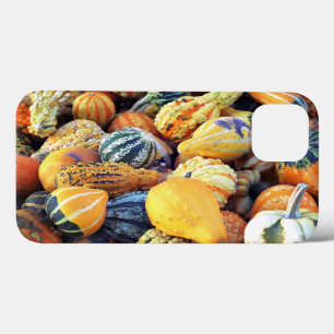 Colourful Gourds Close Up iPhone 13 Case