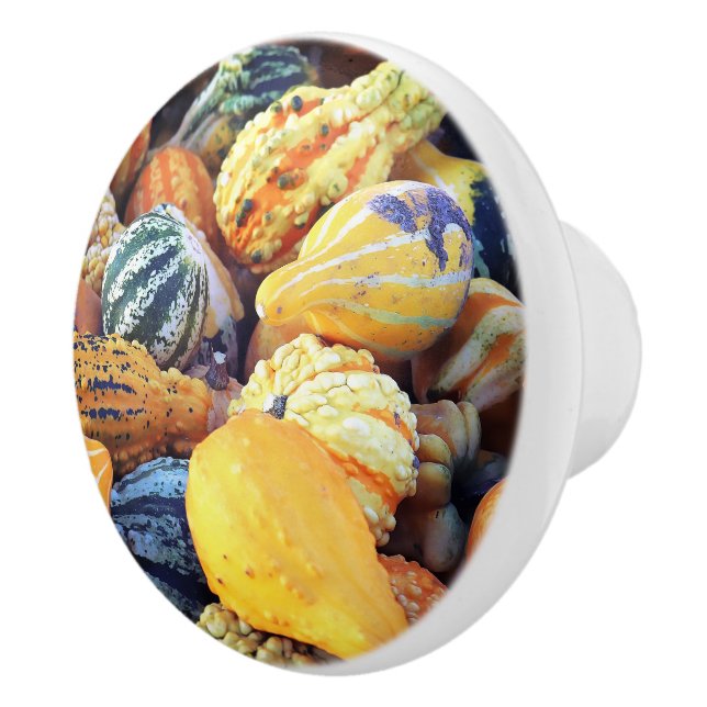 Colourful Gourds Close Up  Ceramic Knob (Right)