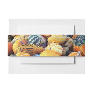 Colourful Gourds Close Up Invitation Belly Band