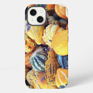 Colourful Gourds Close Up iPhone 13 Case