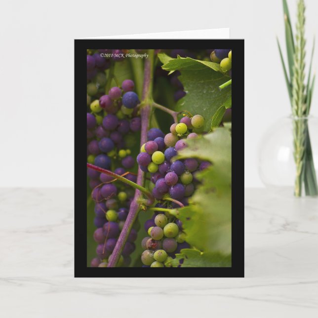 Colourful Grapes Card (Front)