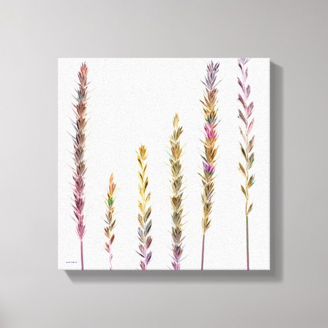 Colourful Grasses Canvas Print (Front)