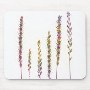 Colourful Grasses Mouse Mat