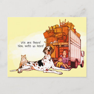 Colourful Grea Dane Cat We Moved New Home Moving Postcard