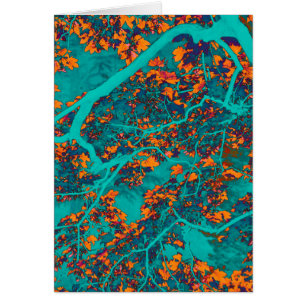 Colourful green and orange trees