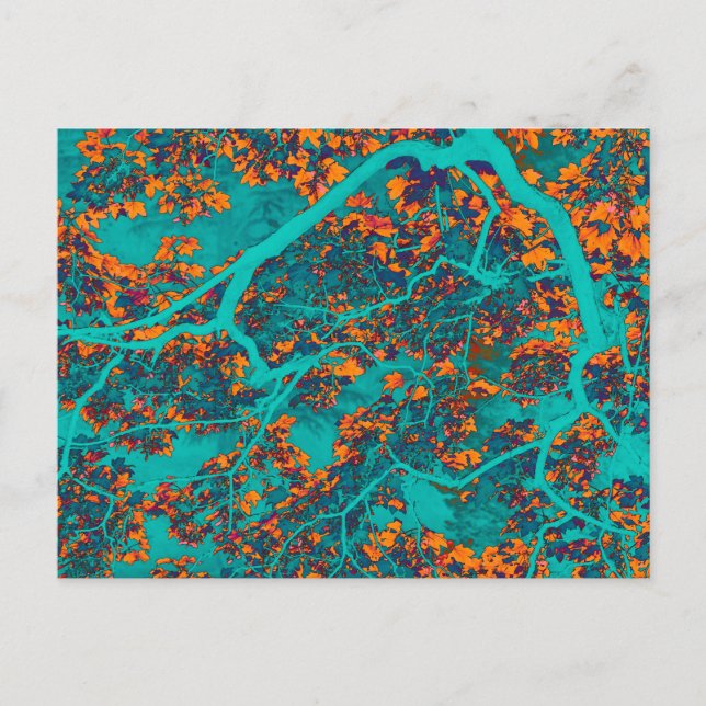 Colourful green and orange trees postcard (Front)