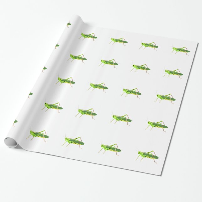 Colourful Green Grasshopper Wrapping Paper (Unrolled)