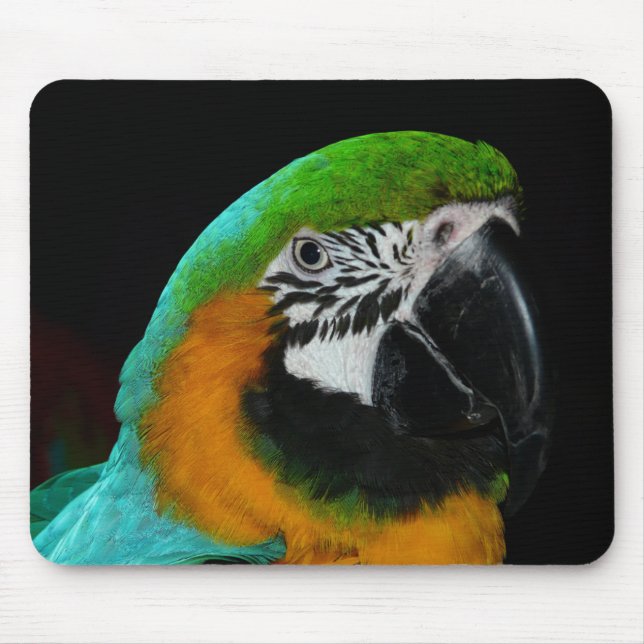 Colourful Green Parrot Mouse Mat (Front)