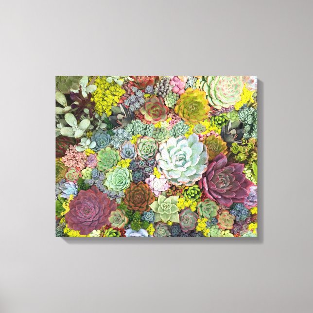 Colourful Greenery Succulents Canvas Print (Front)