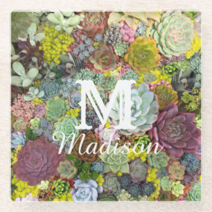 Colourful Greenery Succulents Glass Coaster