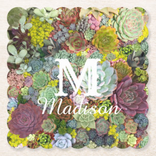 Colourful Greenery Succulents Paper Coaster