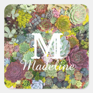 Colourful Greenery Succulents Square Sticker