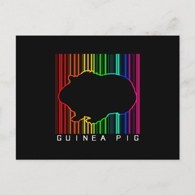 Colourful Guinea Pig | Cute Guinea Lover | Cute Pe Postcard (Front)
