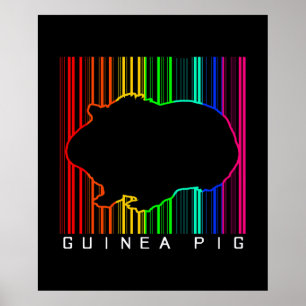 Colourful Guinea Pig Cute Guinea Lover Cute Pe Poster