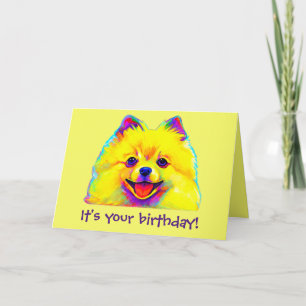 Colourful Happy Birthday Pomeranian Card