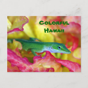 Colourful Hawaii Postcard