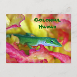 Colourful Hawaii Postcard