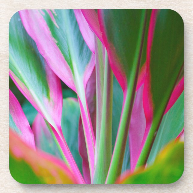 Colourful Hawaiian Plant Hard Plastic Coasters (Front)
