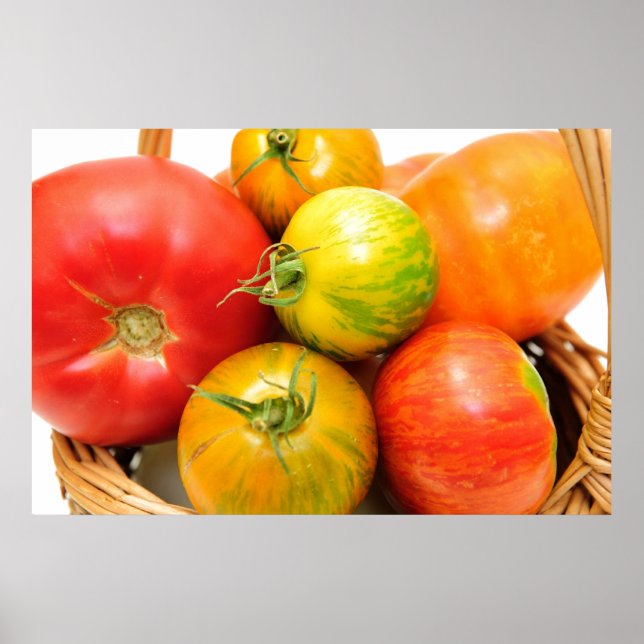 Colourful Heirloom Tomatoes Poster (Front)