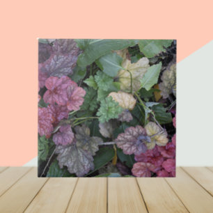 Colourful Heuchera Plant Leaves Botanical Tile