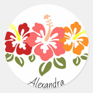 Colourful Hibiscus Trio Personalised Classic Round Sticker