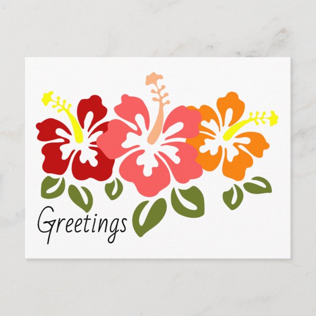 Colourful Hibiscus Trio Postcard (Front)