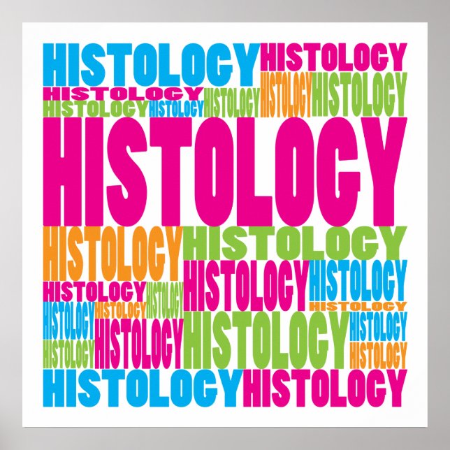 Colourful Histology Poster (Front)