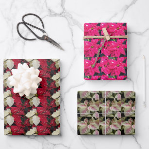 Colourful Holiday Poinsettias Floral Pattern Wrapping Paper Sheet