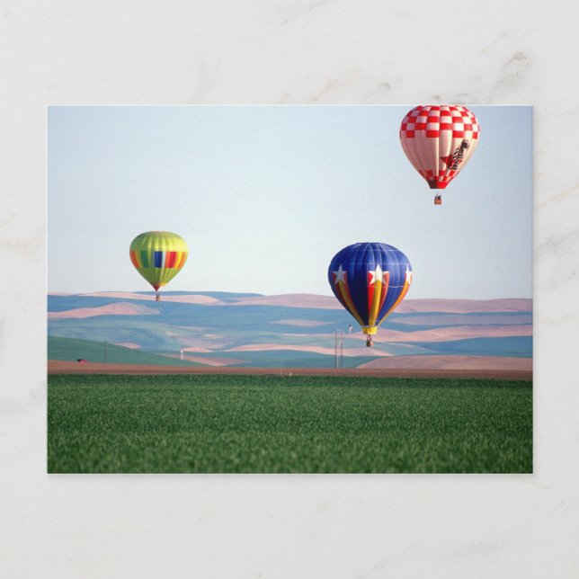 Colourful hot air balloons float over wheat postcard (Front)