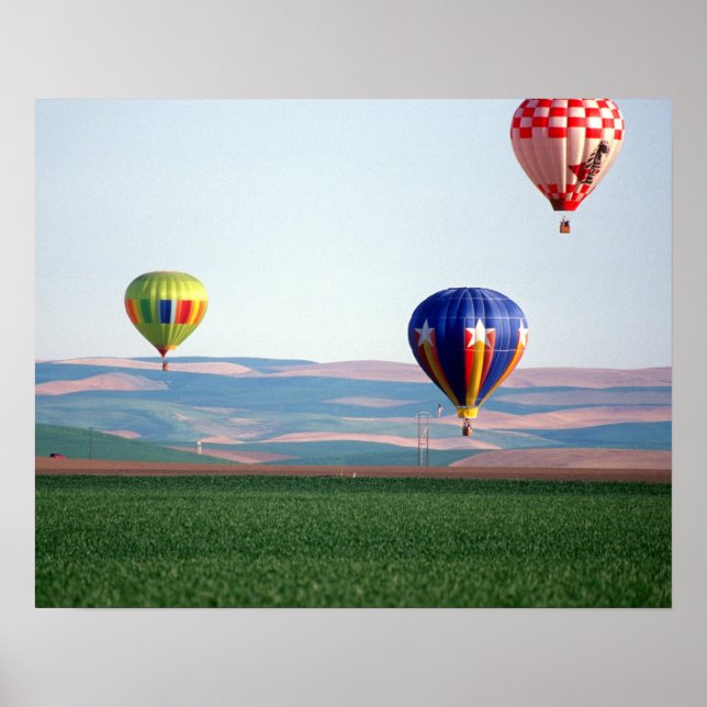Colourful hot air balloons float over wheat poster (Front)