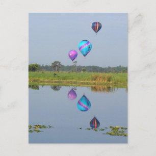 Colourful Hot Air Balloons photographic image Postcard