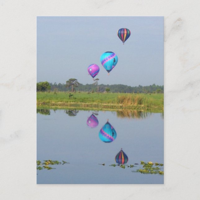 Colourful Hot Air Balloons photographic image Postcard (Front)