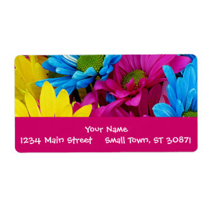 Colourful Hot Pink Teal Blue Gerber Daisies