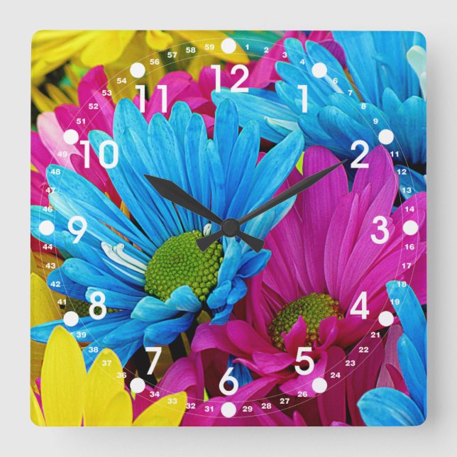 Colourful Hot Pink Teal Blue Gerber Daisies Square Wall Clock (Front)
