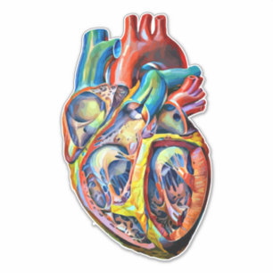 colourful human heart anatomy abstract art