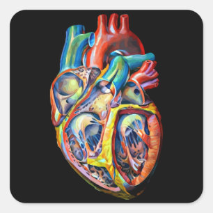 colourful human heart anatomy abstract art square sticker