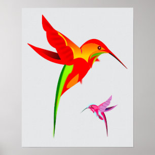Colourful Hummingbird Drawing Poster