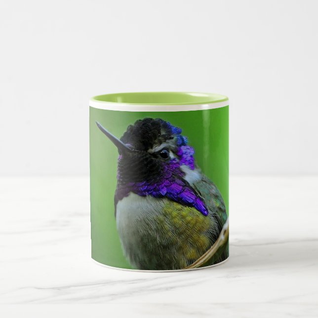 Colourful Hummingbird Mug (Center)