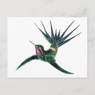 Colourful Hummingbird Postcard
