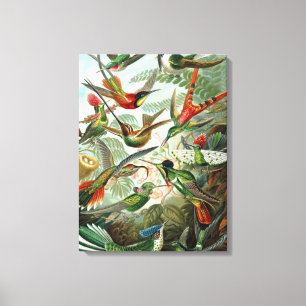 Colourful Hummingbirds Vintage Wrapped Canvas Prin