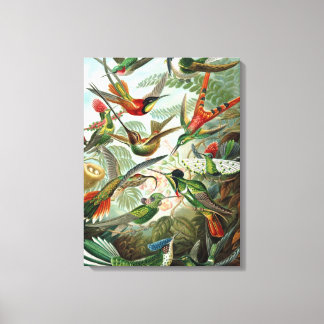 Colourful Hummingbirds Vintage Wrapped Canvas Prin