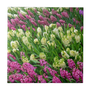 Colourful hyacinth flower garden tile