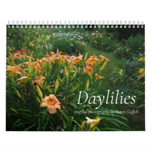 Colourful Hybrid Dayliles Hemerocallis Calendar