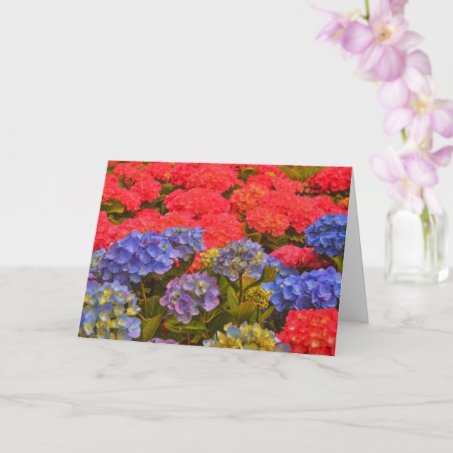 Colourful Hydrangea Flower Garden Art Note Card (Orchid)